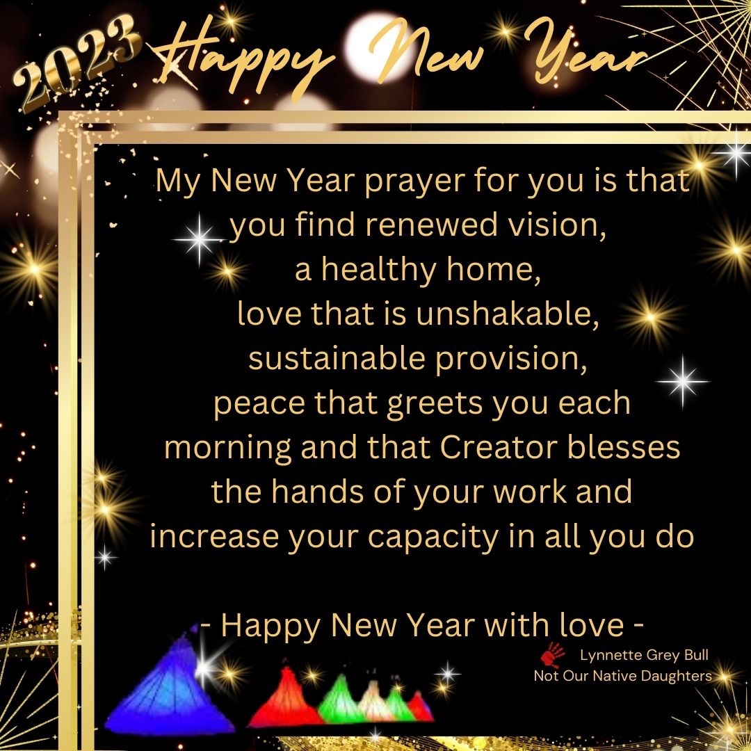 VoteGreyBull's tweet image. Please consider a year end donation!  #Nativeled organizations are not only systemically underfunded we also have to compete with other nonprofits who claim to serve #NativeAmericans and our communities, to which they do not. #support #Indigenous #Native WE NEED U! #nonprofit