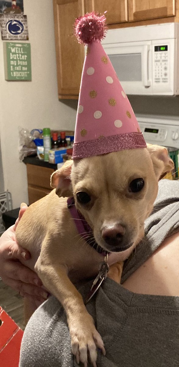 snappy1380's tweet photo. We are home &amp; celebrating w our little party animal! #PrincessMaya #GoodBye2022 #HappyNewYear2023 #OnPatrolNation #OPL #OPLive #OPLiveNation @ReelzChannel @OfficialOPLive https://t.co/D7u7aNdSHL