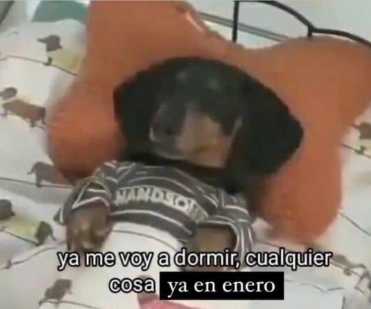 cesbalmir's tweet photo. Mood de todo el mes https://t.co/mYKsSqKyzA