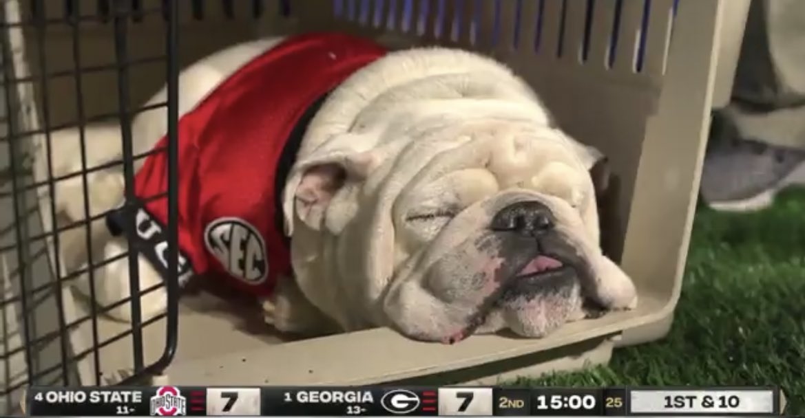 BarstoolBigCat's tweet photo. Forever mood https://t.co/iH6nMWlGbp