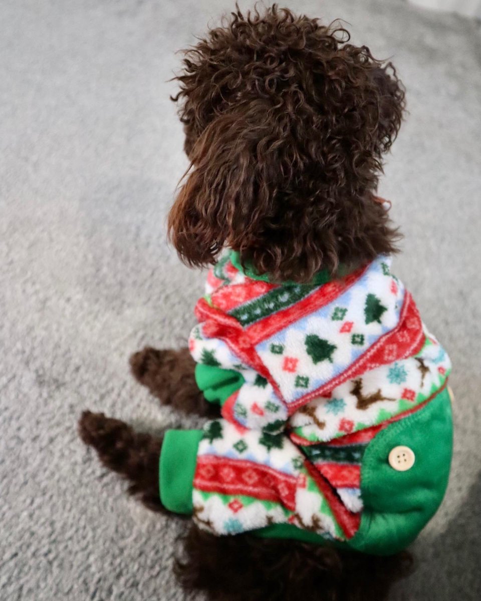 MissDeeW's tweet photo. He was not feeling picture time…clearly. 😂🎄✨🎁 https://t.co/oHODgjKtSw