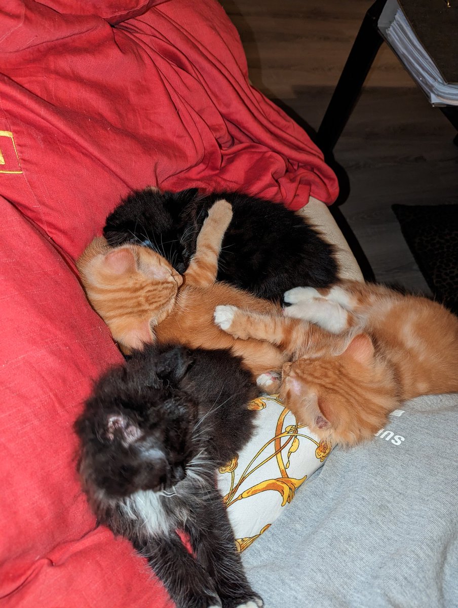 Luigi Florence tweet media