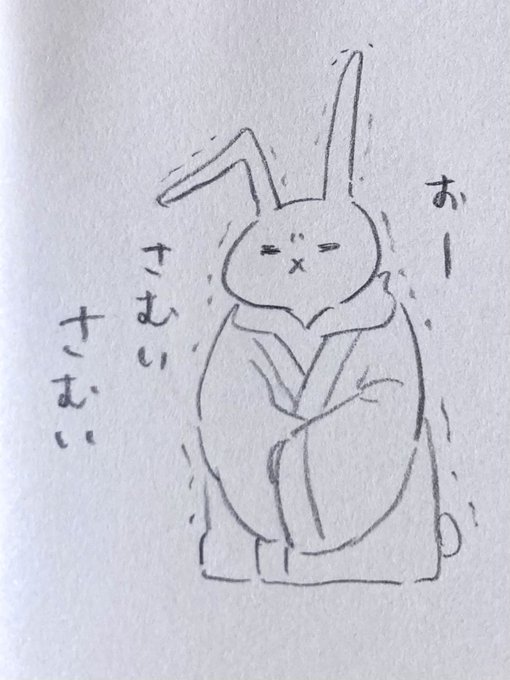 正月絵なんて無いので6号さんでも載せとこう
#うさぎ6号 