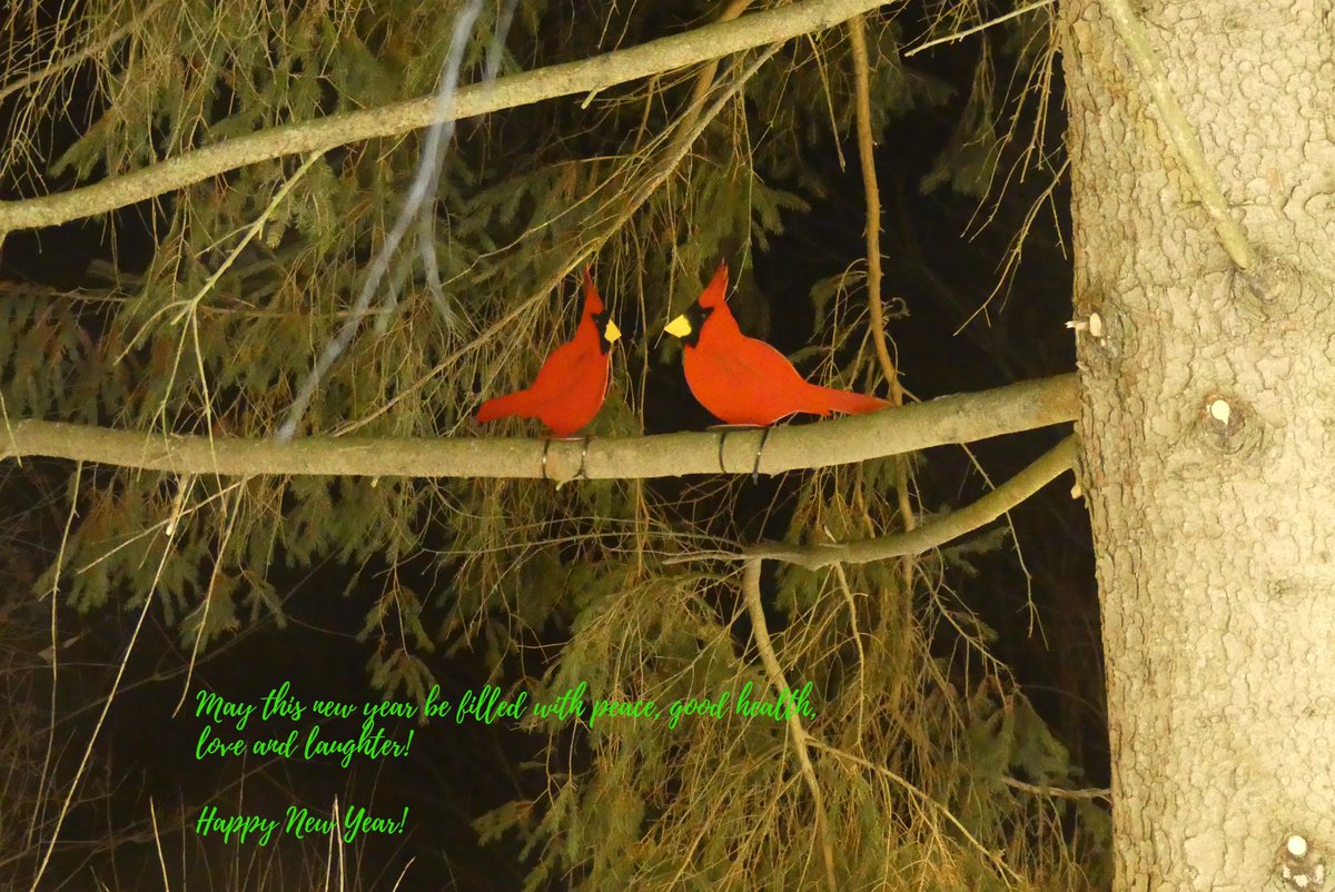 Linda Lee tweet media