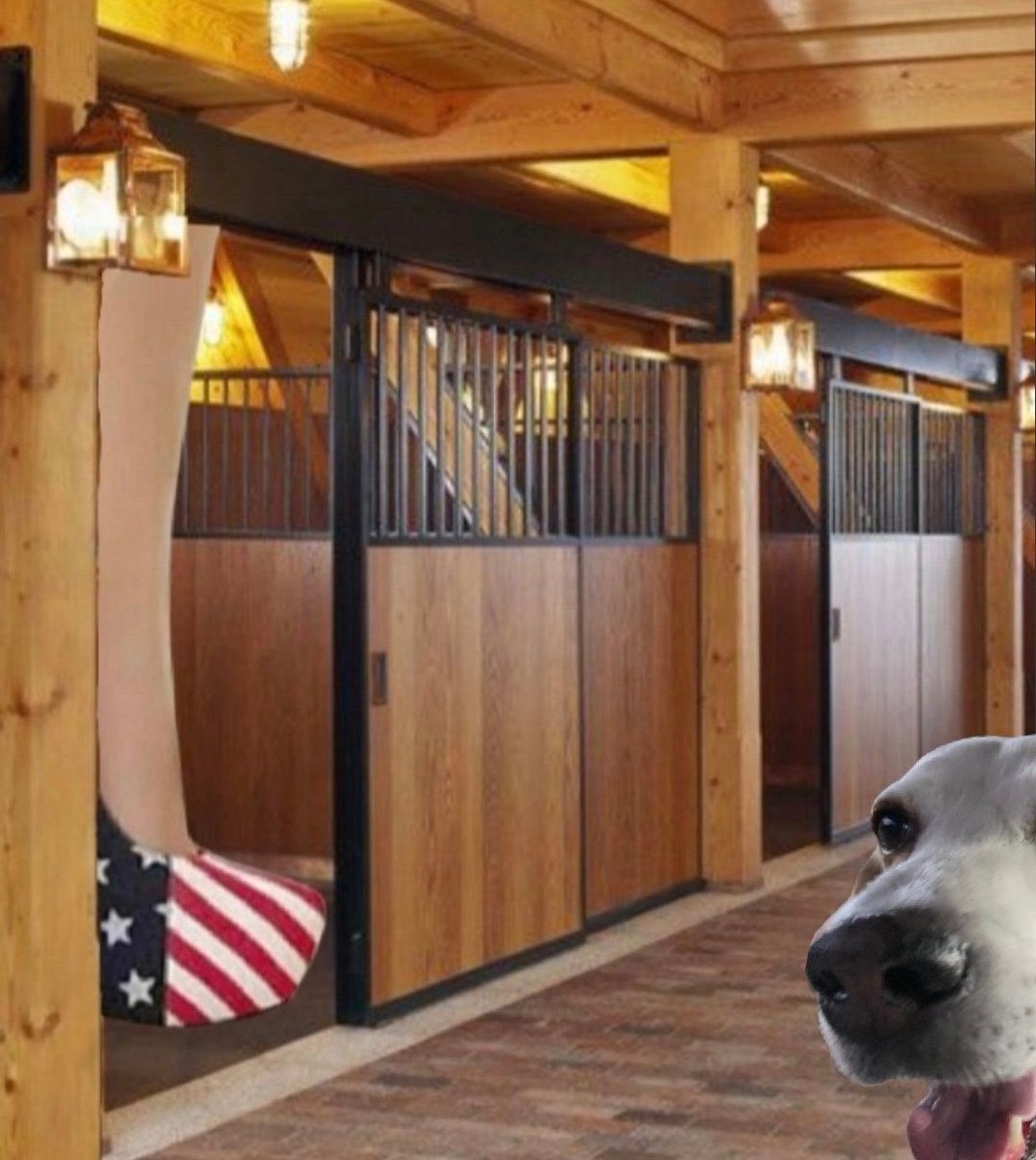 JewelsJonesLive's tweet photo. 😉 Party in #Stall3 🥳🥳🥳
#HappyNewYear @1776_USPatriot_ and also to @MAGAGEM1 for this AMAZING meme. 🎉🎉🎉🎉🎉🎉 https://t.co/CmIIBsTl6W