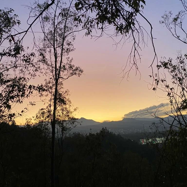 Último atardecer del año 2️⃣0️⃣2️⃣2️⃣🍾🥂🎄🎆🎉🎊

#findeaño #atardecer #añonuevo2023 
<a href="/SantaCruzXo/">Santa Cruz Xochitepec</a> <a href="/jardinesdelsurf/">fjardinesdelsur</a> @ComiteJardines7 <a href="/Xochimilco_DF/">Xochimilco Despertar</a> <a href="/En_Xochimilco/">Xochimilco CDMX</a> <a href="/mundoxochimilco/">mundoxochimilco</a> <a href="/xochimilcotraji/">xochimilco trajinera</a> <a href="/Xochilover/">YO AMO XOCHIMILCO</a> <a href="/conocexochi/">Conoce Xochimilco</a>