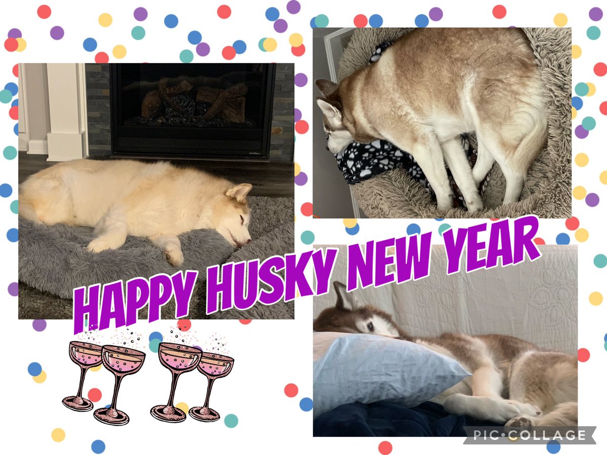 Wild New Year’s Eve with our huskies, aged 14, 12, and 11. 🎉🎉🎉