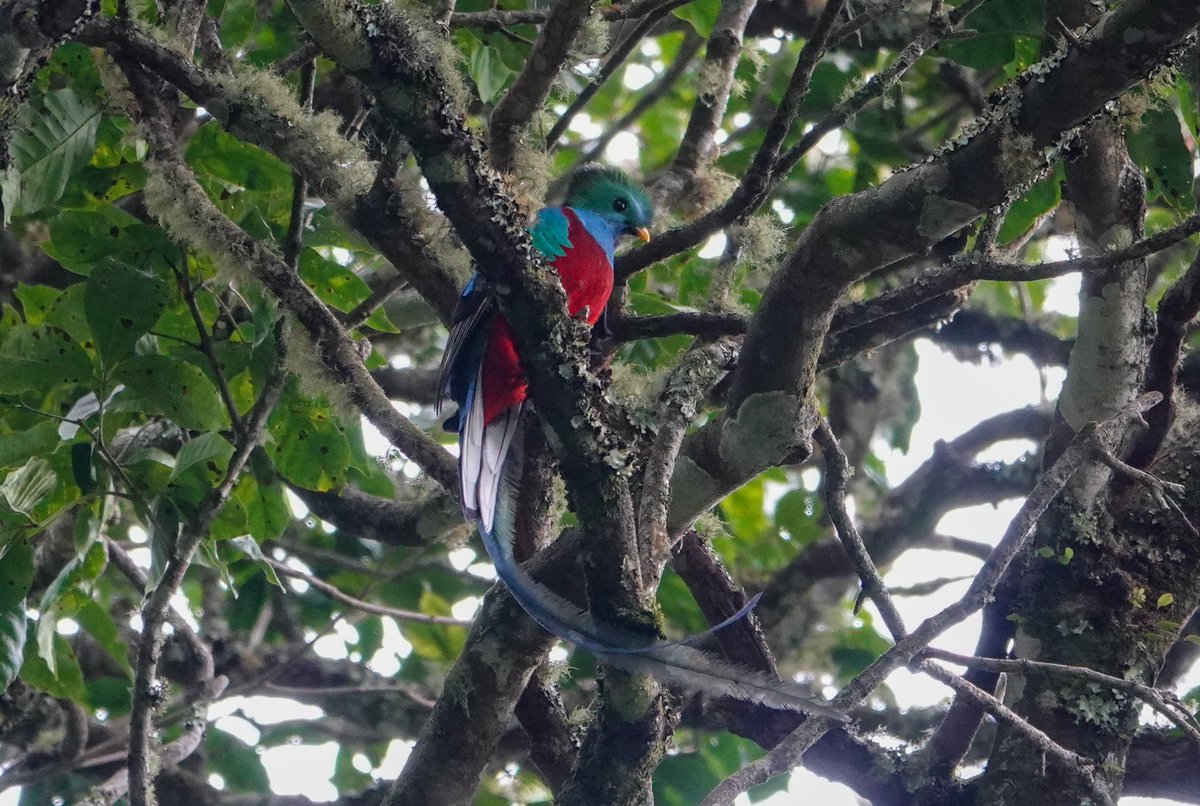 Daniel Weldon tweet media