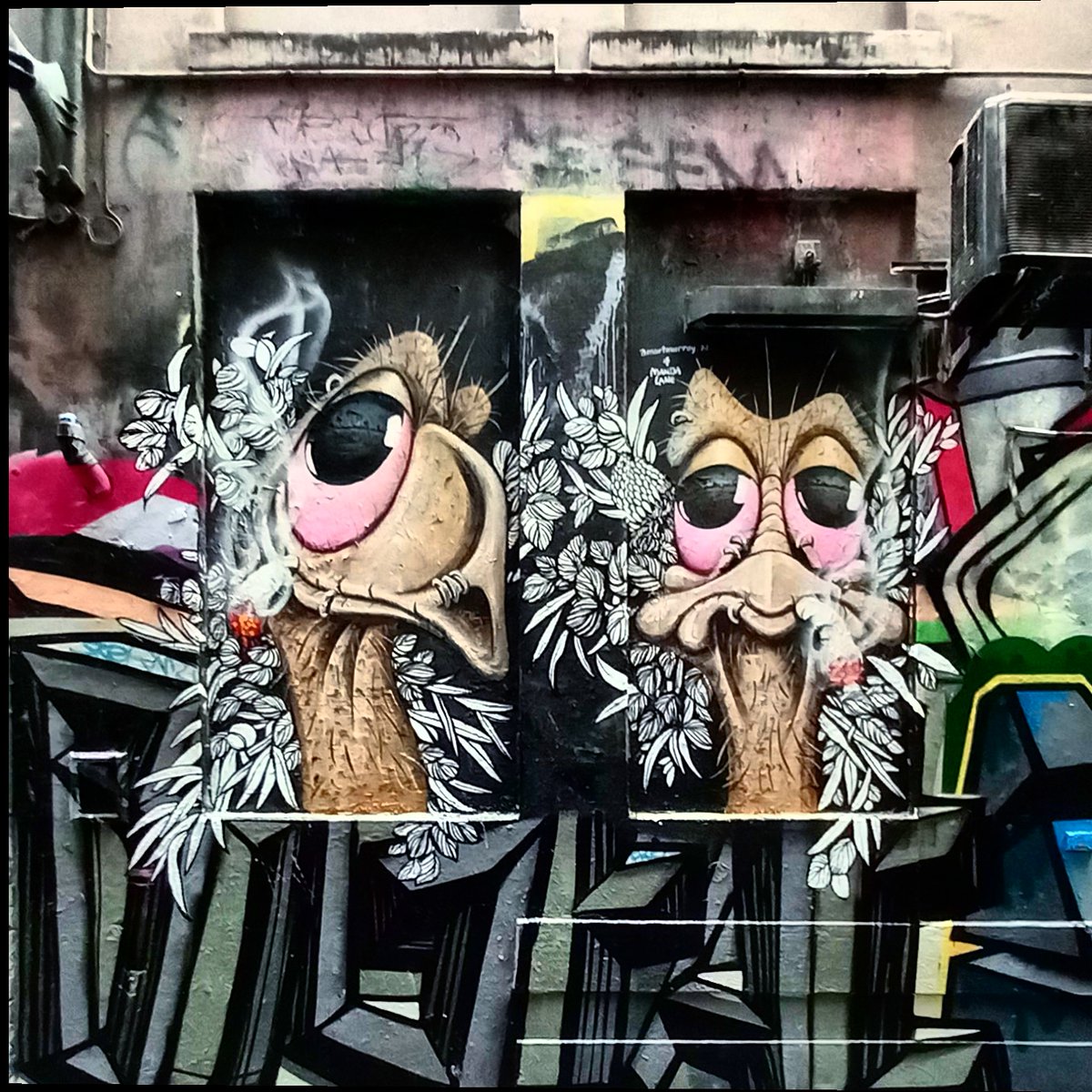 CJMurrumbeena's tweet photo. Melbourne's inner city emus just chilling after New Year's celebrations
#CentrePlace #Melbourne #StreetArt https://t.co/7YLETzY945