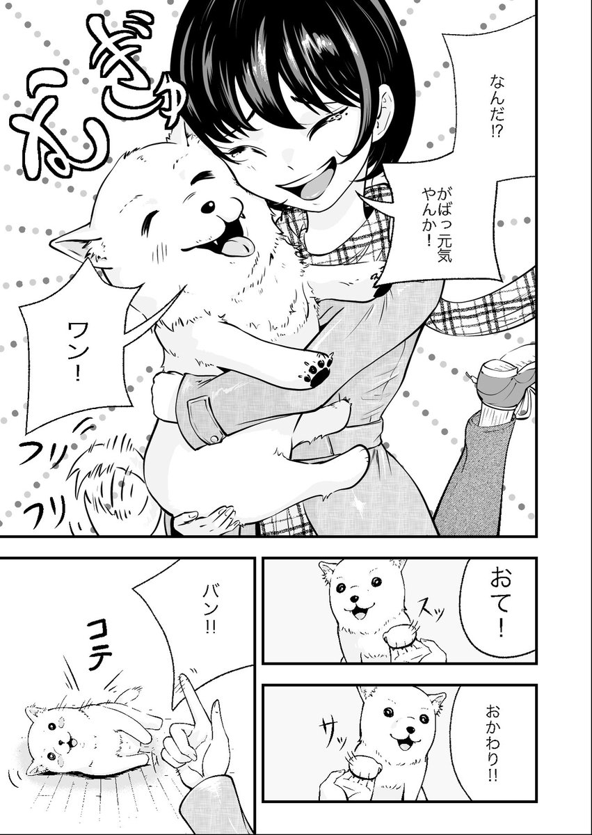 年末年始を実家の愛犬と過ごした話(2/4) 