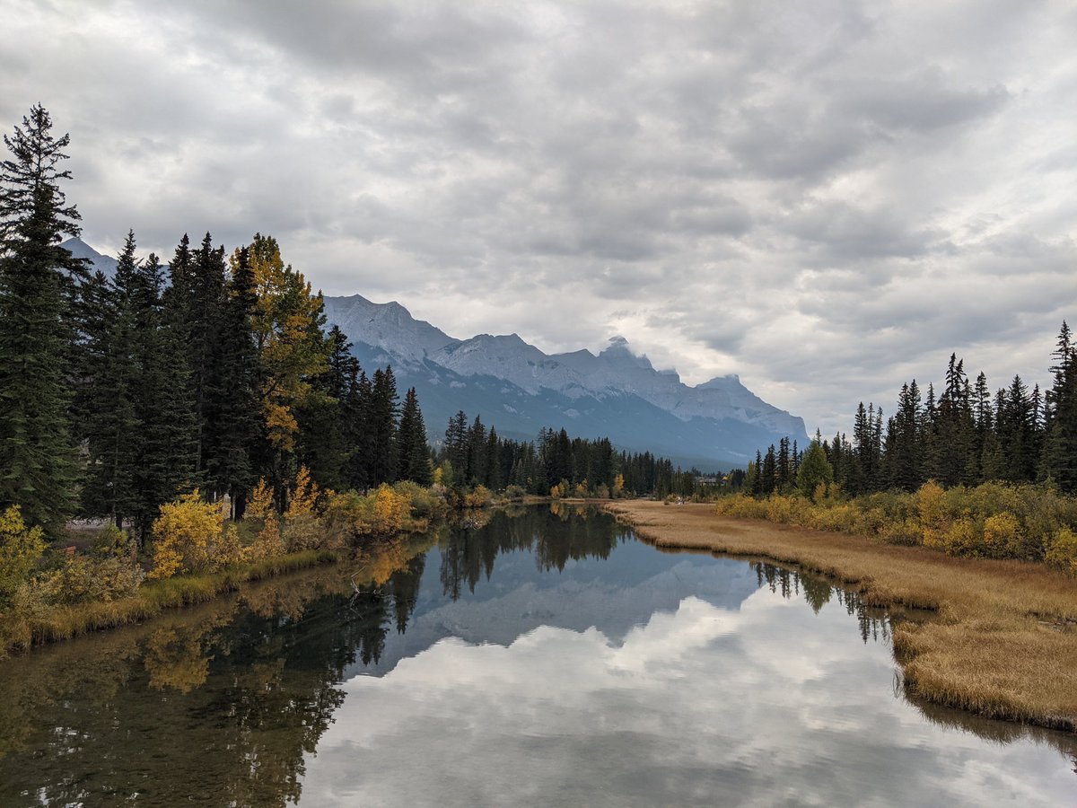 Gerald Terry Brewer tweet media