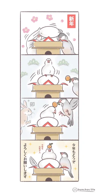 1号2号ともども今年もどうぞよろしくお願いします✨
#文鳥 
#bunchoslife 
#4コマ漫画 