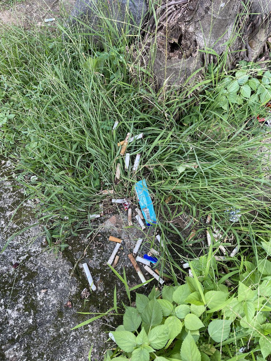 Dr Haji Helmy tweet media