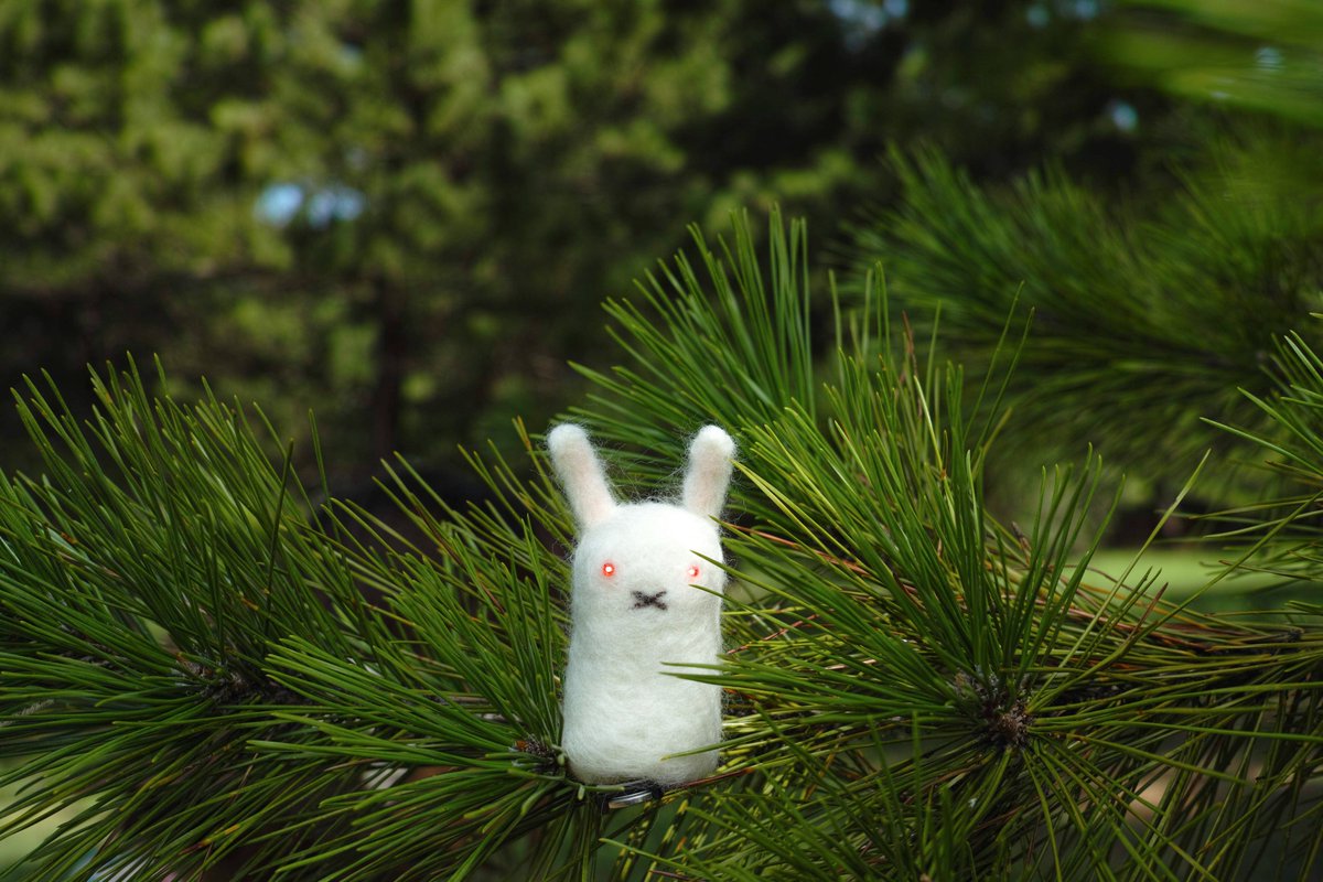 techneko tweet picture