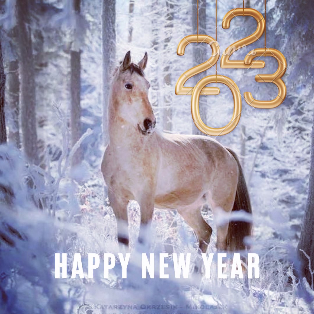 a_cotnerauthor's tweet image. From my home to yours…
As another year is coming to a close, I want you to know how much I appreciate each of you. I wish you all health, happiness, hope, joy and prosperity for this coming year. 
#happynewyear2023❤️ #grateful #blessed #nevergiveup
