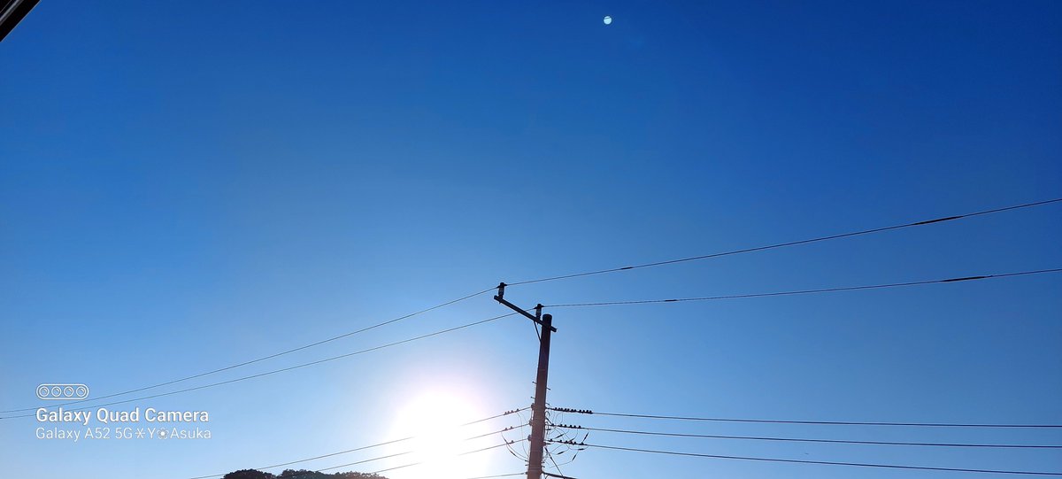 yumeasutw's tweet photo. #青空 にお日様燦々✨穏やかな #元旦 ☀️
皆様、今年もどうぞ宜しくお願いいたします🙇♀️🎍
予想最高/最低気温🌡️12℃/-4℃
晴れ☀️
日溜まりは温もりを感じるお正月らしい冬晴れの一日になりそうです。
#空の名前
#天気の図鑑 #雲友の会
#快晴
#南天 #ナンテン #庭木
#a2023 #a0101 #a202301 #a2023011 https://t.co/b8LXPrI3FE