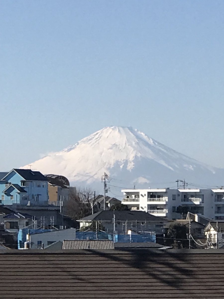 あおい慈雨 tweet media