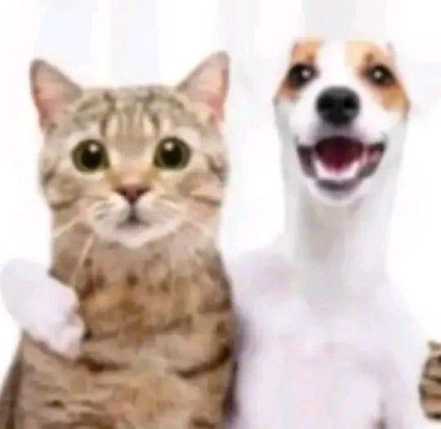 dnewabnormal's tweet image. FELIZ ANO NOVO QUERIDOS