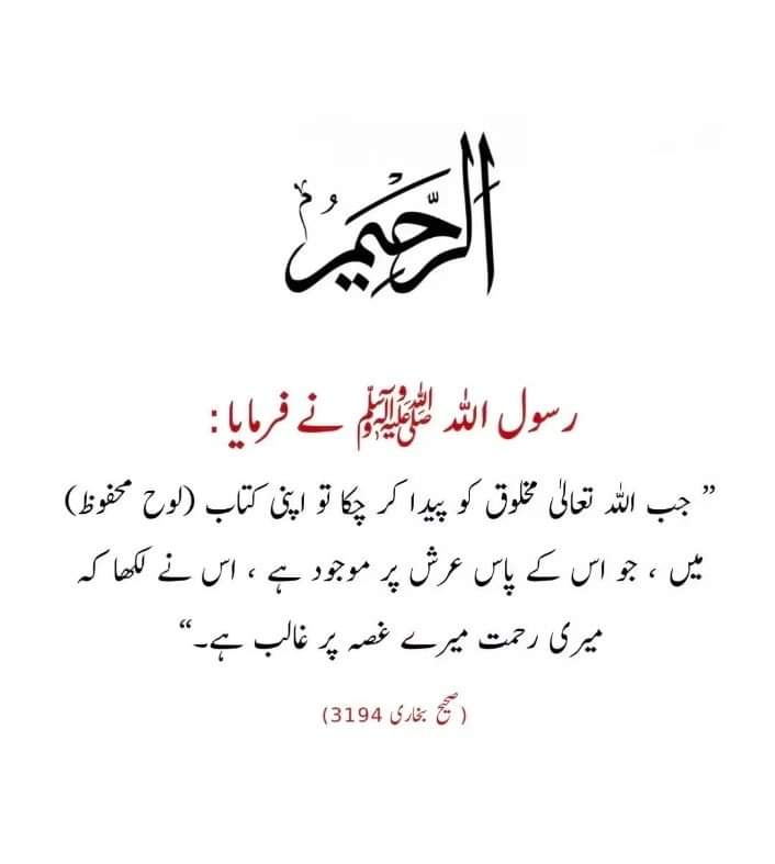 🍁کچھ 🍁تو🍁 بتا🍁 زندگی🍁 tweet media