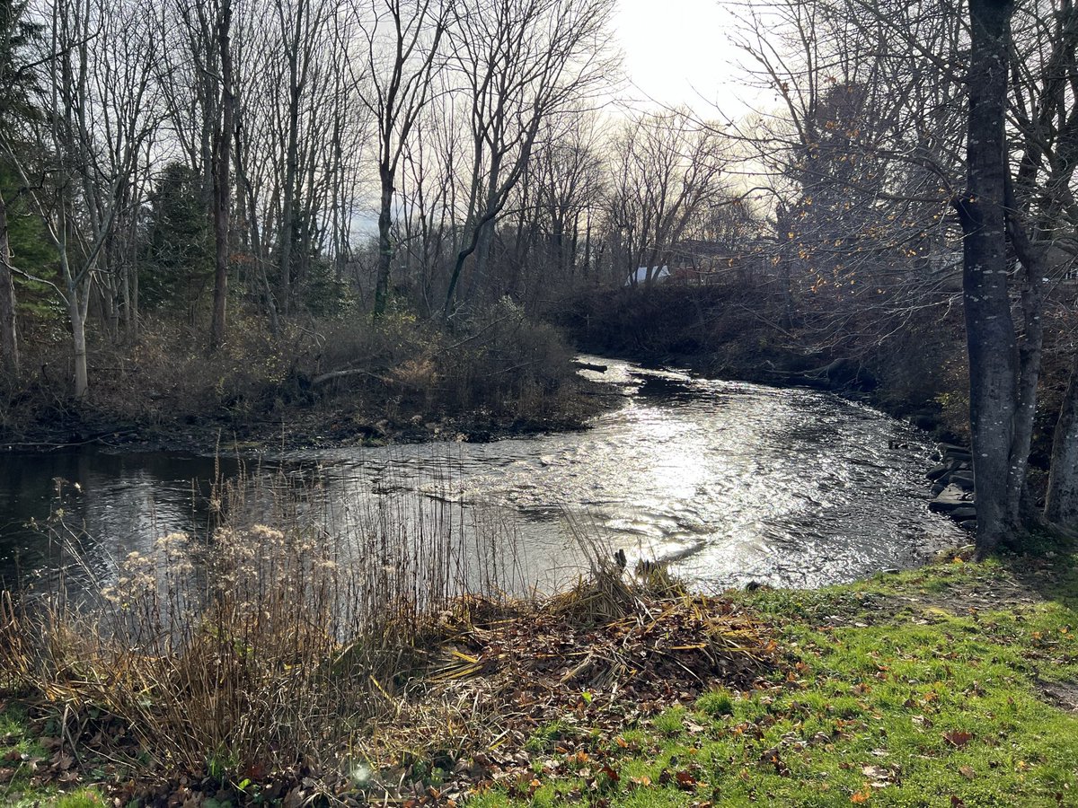 URI_GEO's tweet photo. As you pursue your hopes and dreams, may this year bring you much success and may your journey be wonderful.
Happy New Year 2023!
@uricels @universityofri #GOCG #HappyNewYear2023 https://t.co/2eiGEpkQTg