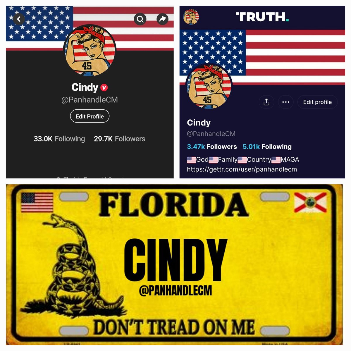 🇺🇲 Cindy 🇺🇲 tweet media