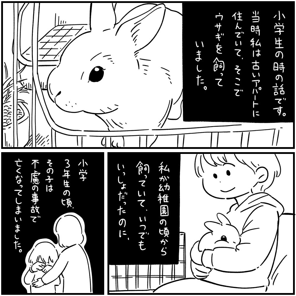 「うさぎの怖い話」1/3 