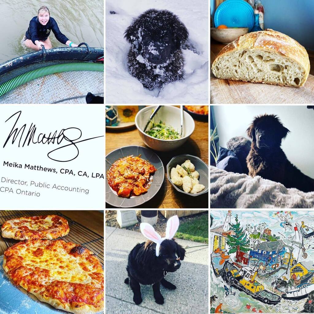 Almost a wrap for 2022! Sounder is the star here for sure - starting out so tiny and new..110 pounds later (or maybe a little more 😂) she sure makes every normal thing into an adventure.