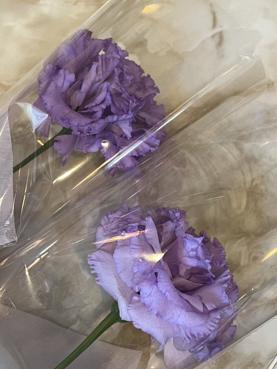 chururub3's tweet photo. 꽃 받앗어요 💜💐 가게도 지순니로 가득함…  @KimjisoofcChina https://t.co/dLEw6tMqIF
