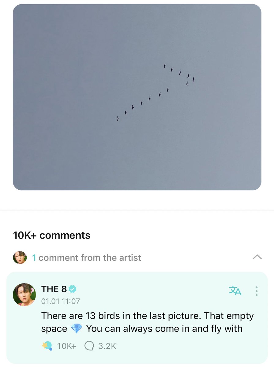 minghaomianhae's tweet image. minghao posted the photo of birds on weverse saying we won’t be lonely bcos seventeen is here. he then commented that the empty space is for carats who can always come in and fly with them.

—based on wv translation