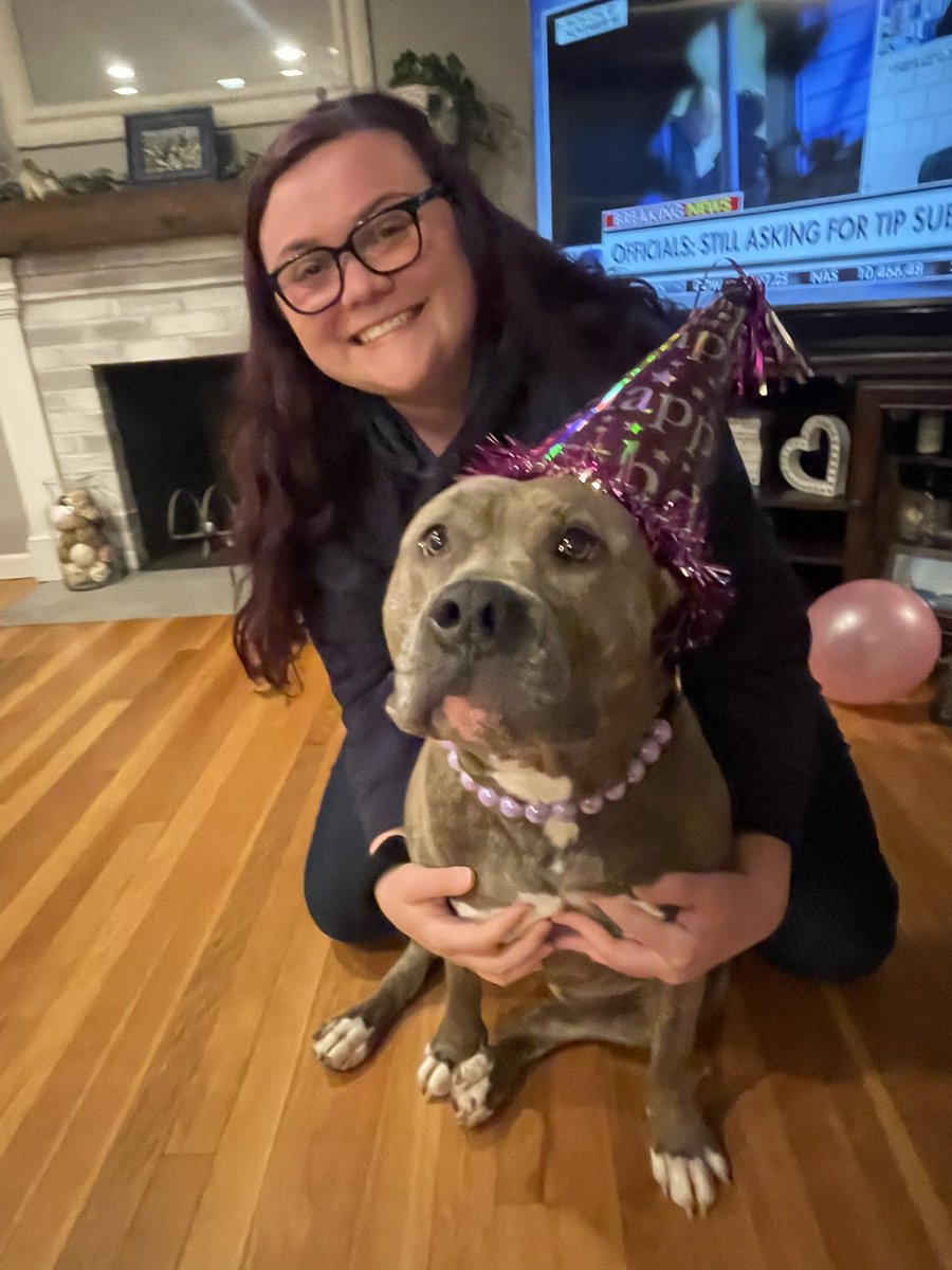 shayshaylouise's tweet image. My bestie girl Kara turned 3 yesterday! She looks so pretty in her new necklace ❤️😍❤️ #bullybreed #pitty #hippo