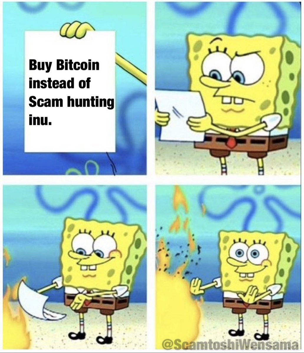 ScamHuntingInu's tweet image. Everything is coming together ✅💚