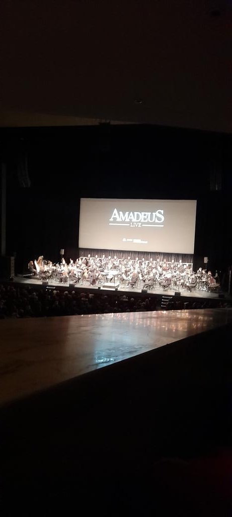 GaelleRoug's tweet photo. Rien de mieux qu'Amadeus Live avec l'#ONPL pour ce 31 décembre. Bravo aux musiciens et chœur. Quelle prouesse! https://t.co/ZeJ488KWJn