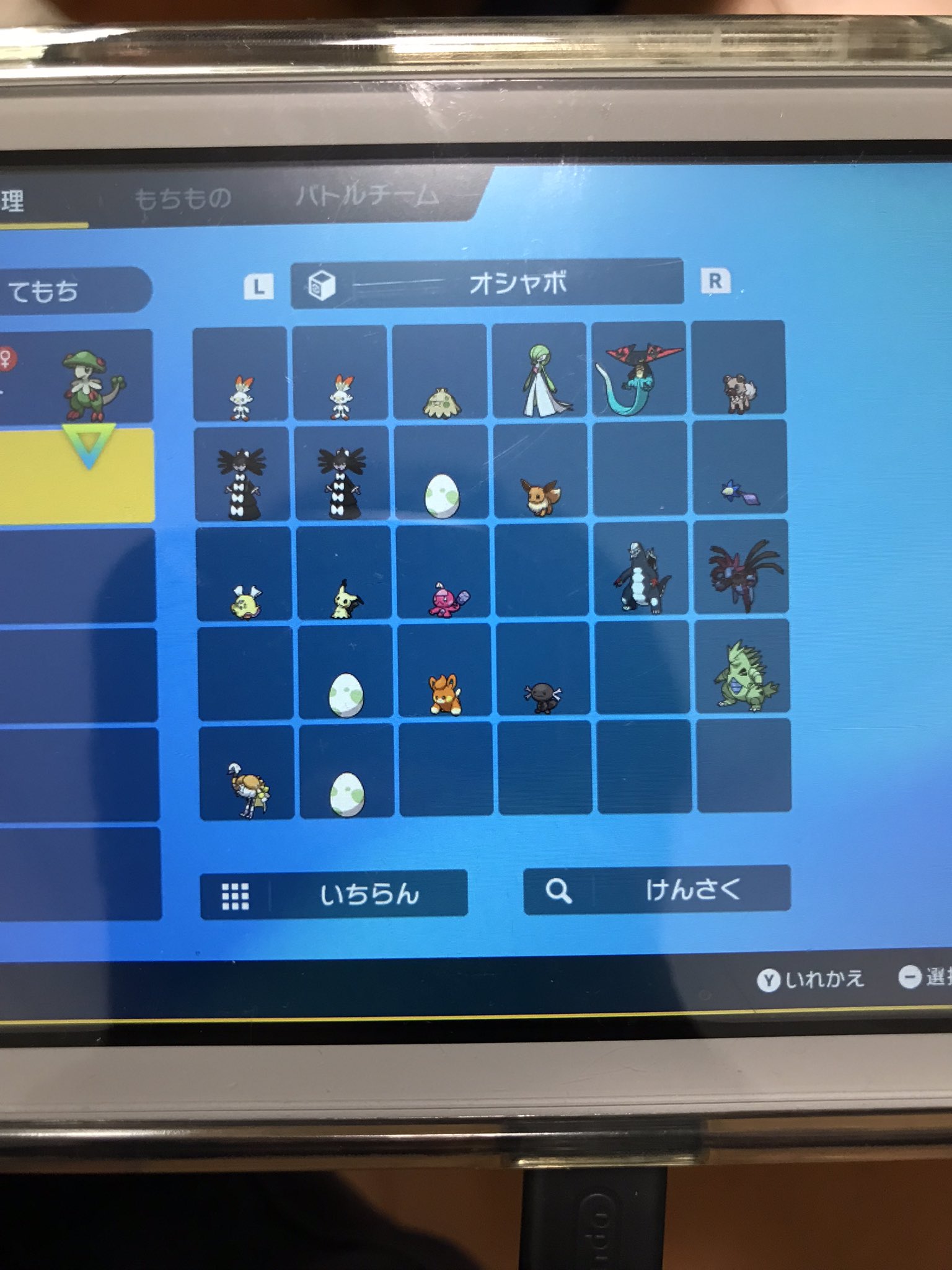 えが V Twitter ポケモンsvでの図鑑埋め協力お願いします 求 フワンテ系統 グレンアルマ スカンプー系統 イシヘンジン ハッサム イルカマン ヤドキング スナノケガワ コライドン 登録次第お返しします 出 画像のオシャボ入りポケモン スピボ マスボ ポケモンsv