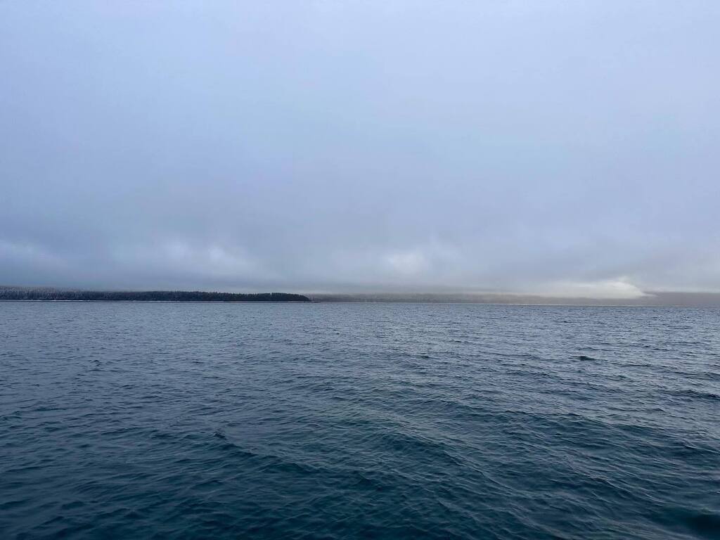 CoppaAlaska's tweet photo. the subtle beauty of an average day in Lingít Aaní can slip into your consciousness and lay you out flat. https://t.co/ggRSlsO2Us https://t.co/BxP5X4puOB