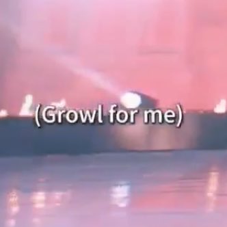 waniwaniSSWanni's tweet photo. “growl for me” WENDY WHAT https://t.co/o6xejbYCb5