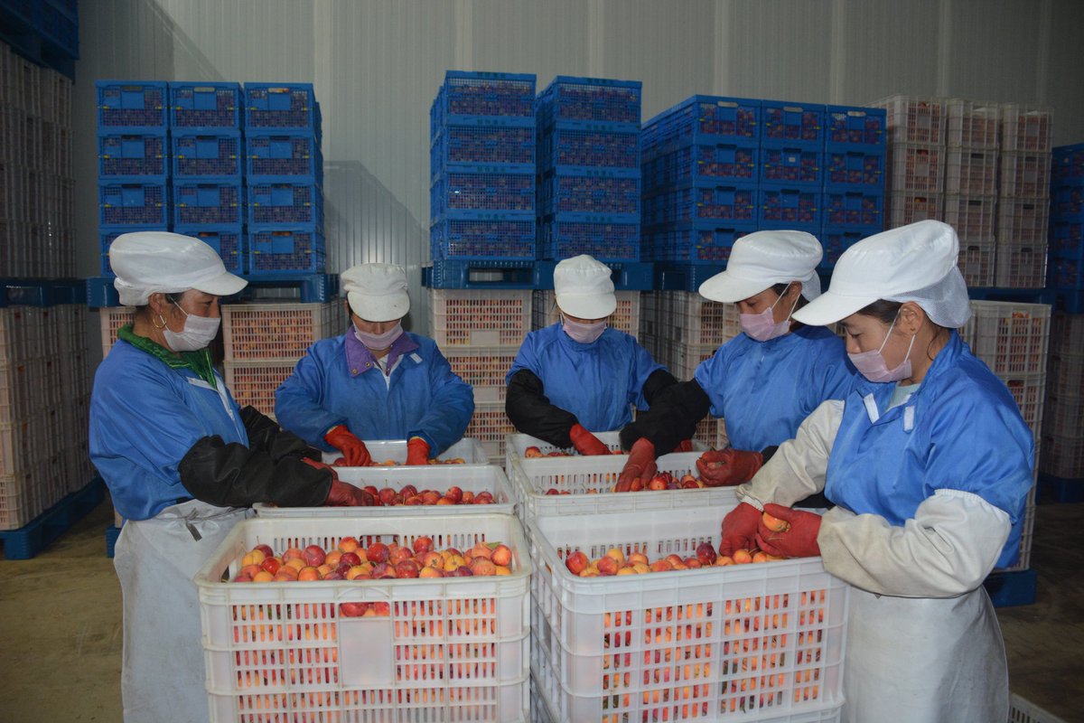 Recently, Hinggan League of Inner Mongolia help enterprises speed up production and promote economic  recovery. All over the league, enterprises at full capacity boost production.