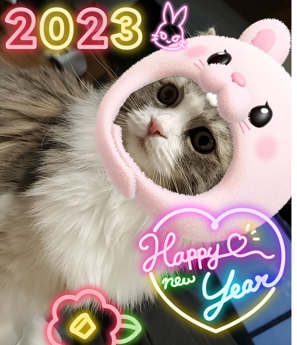R1222mmmm's tweet photo. HAPPY🐱NEW🐶YEAR🎍
今年もよろしくお願いします✨
元気に楽しい1年になりますよーに🎵

 #サイベリアン  #カニンヘンダックス
 #猫写真  #猫のいる暮らし 
 #犬のいる幸せ  #猫  #犬 https://t.co/S3OhoDgunl