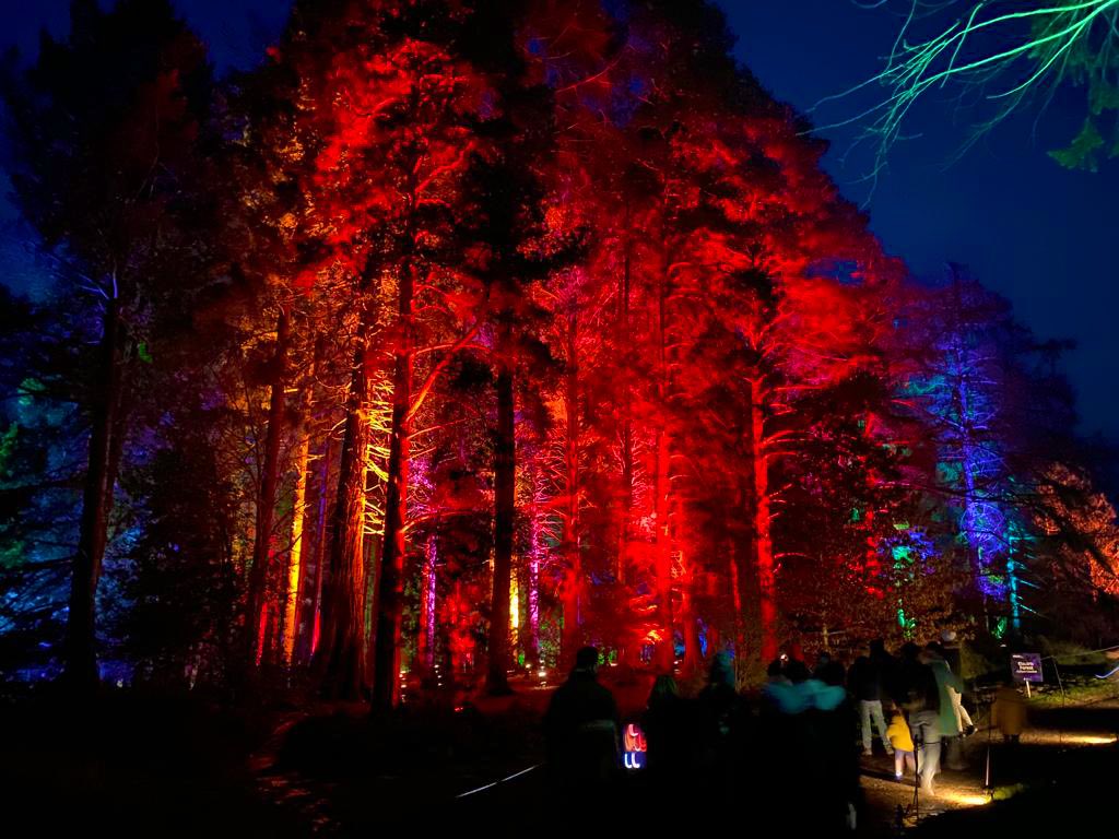 jamiebenton's tweet image. Good riddance 2022. Happy New Year people. May this be a good one.