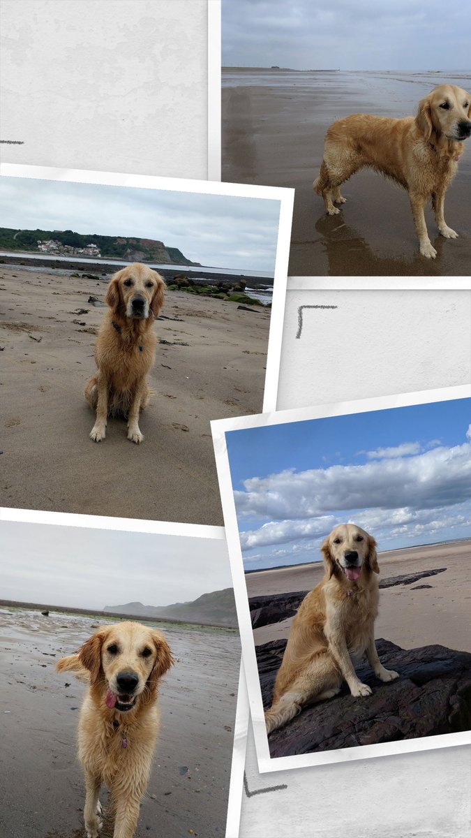 Happy New Year 🎉🥳

I hope your adventures in 2023 create many happy memories 💕 

#HappyNewYear2023
<a href="/canine_partners/">Canine Partners</a> 
#GoldenRetrievers
#dogcelebration 🌈