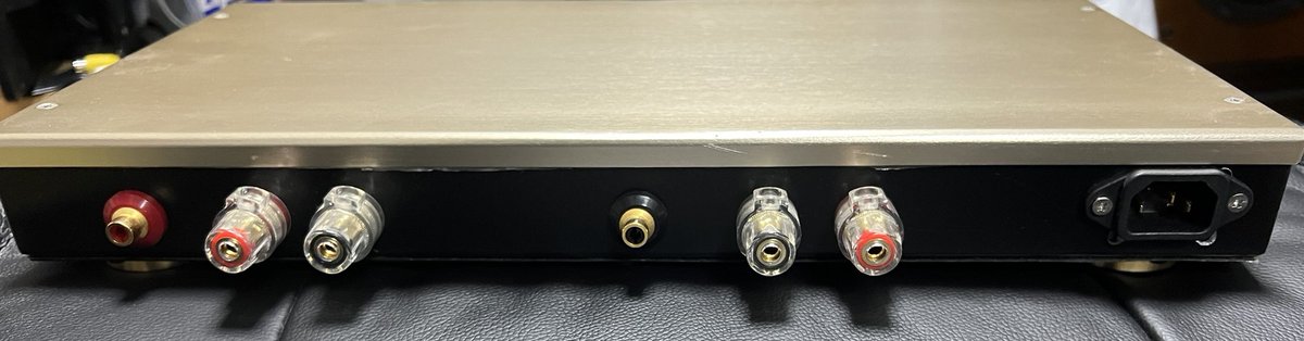 フライングモール製 OEM 01-DA-R2 デジタルアンプ 2枚 フライング