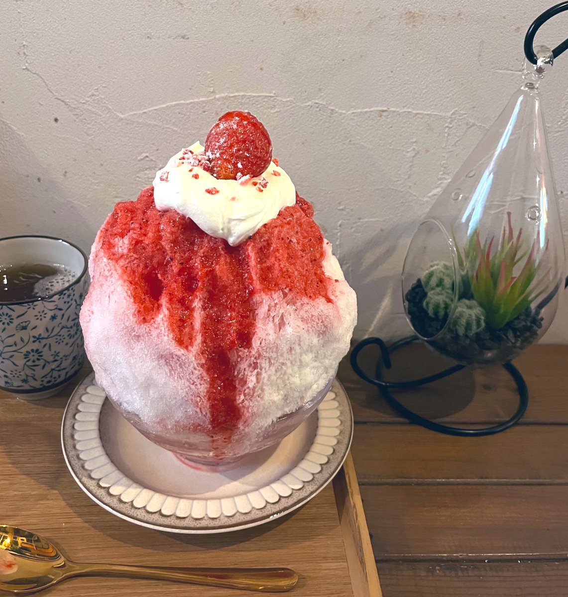 chocomint_glow's tweet photo. あけましておめでとうございます！

SNSにちょっと疲れてしまい、相当お久しぶりになってしまいましたが皆さんお元気ですか？
私は相変わらずスイーツにパワー貰いながら生きる日々を送ってます✨
2023年も宜しくお願いします！

2022年ベストスイーツを添えて☺️💕 https://t.co/latFJggNZ9