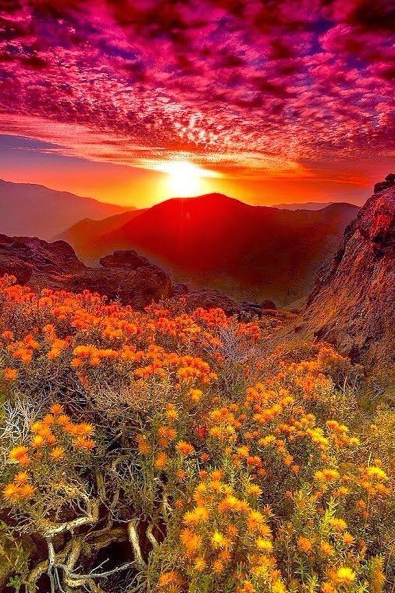 FreemanVersion's tweet image. Let’s say goodbye to the miserable 2022. Let’s say Hello to the hopeful 2023.