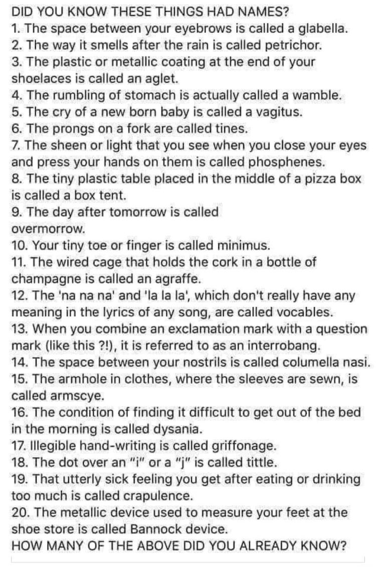 Englishwithasad's tweet photo. Think you know English? Think again. 😜 #English #WeirdEnglish #FunnyEnglish #LearningEnglish https://t.co/GPEcZVM6oC