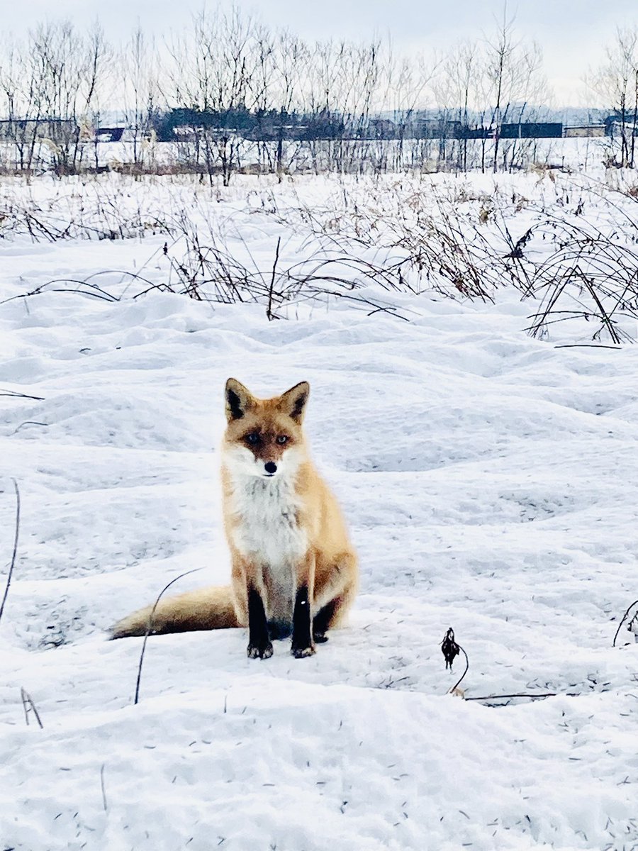 目と目が合ってしまった(^.^)