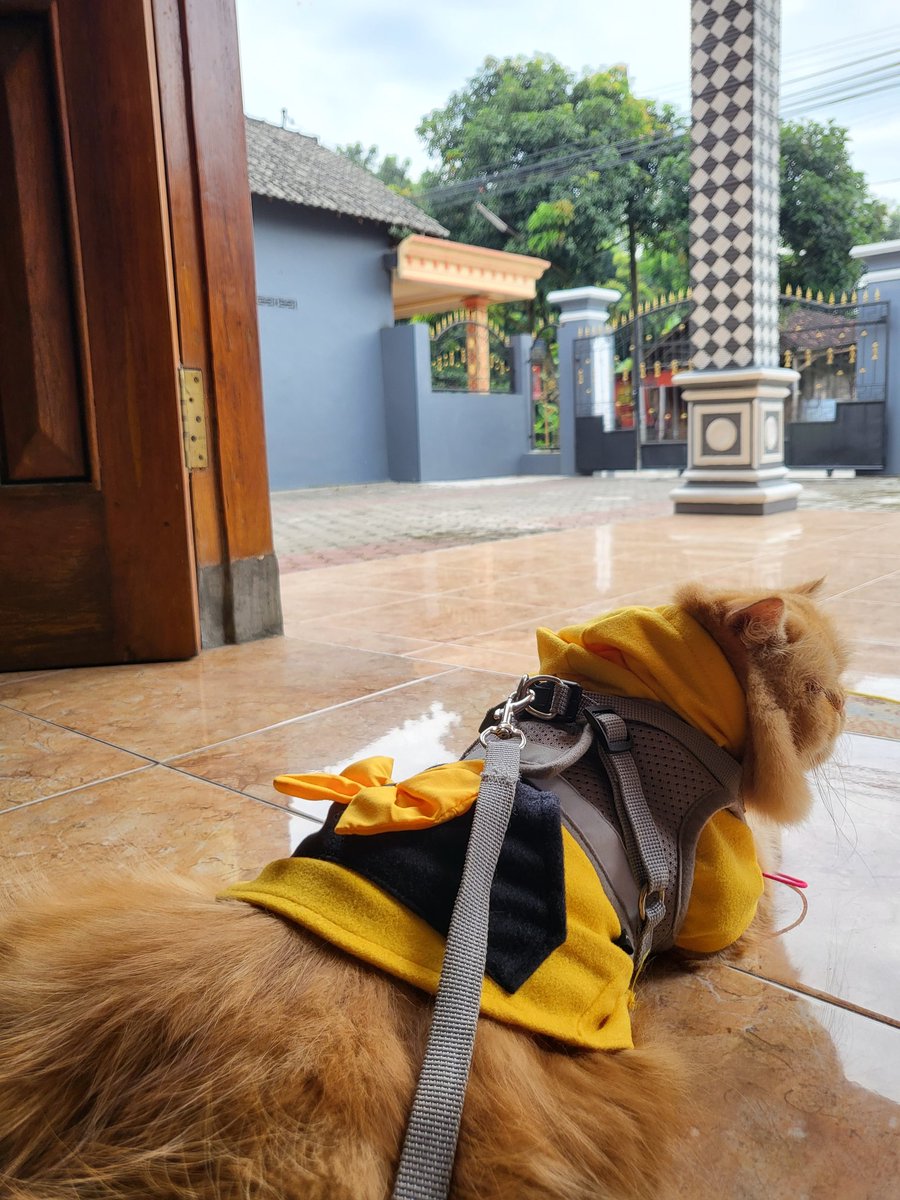 izzaula's tweet image. Morning 2023 🐯💜