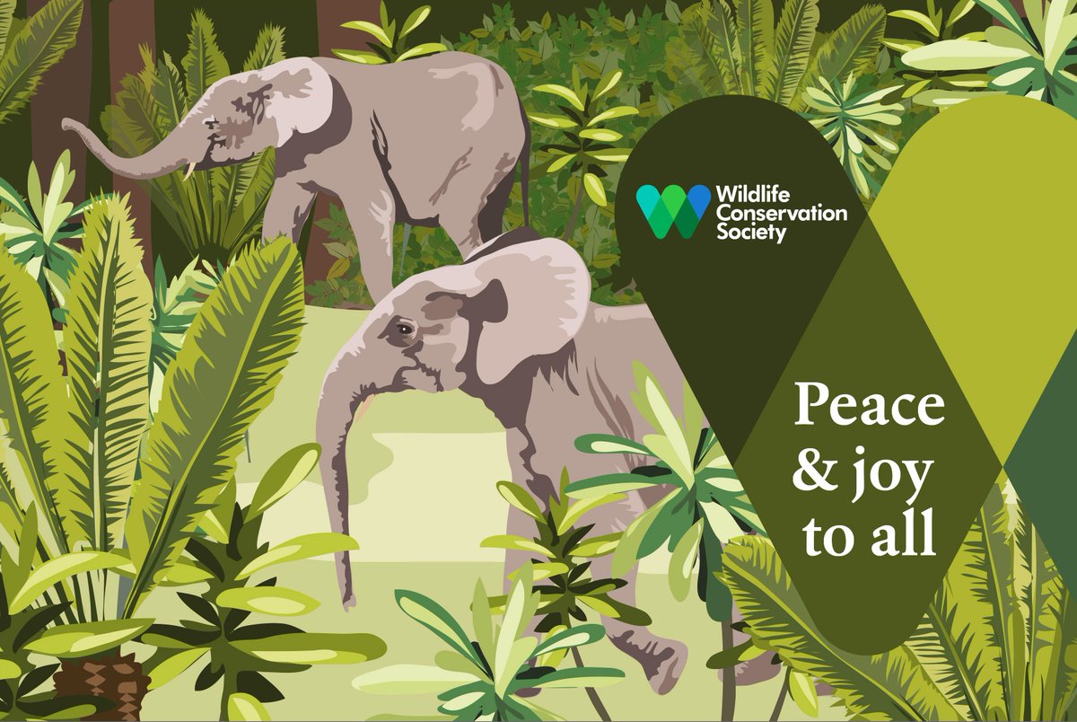 Partners Against Wildlife Crime tweet media