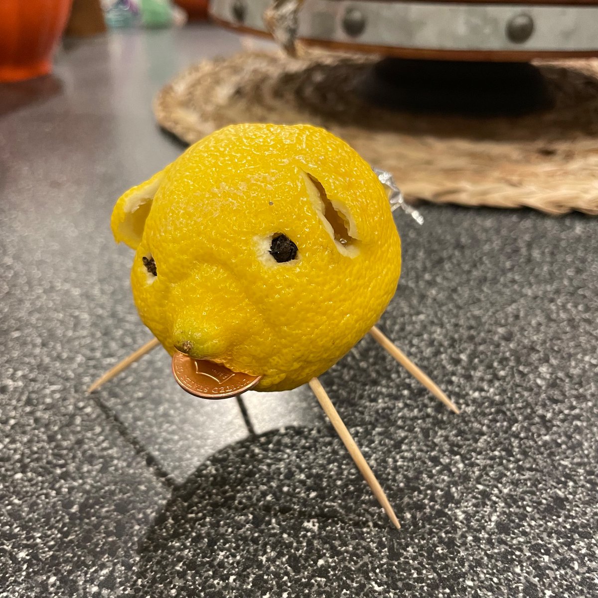Amniote's tweet photo. I am the #lemonpig whose coming was foretold to you https://t.co/9AP1joNi3s
