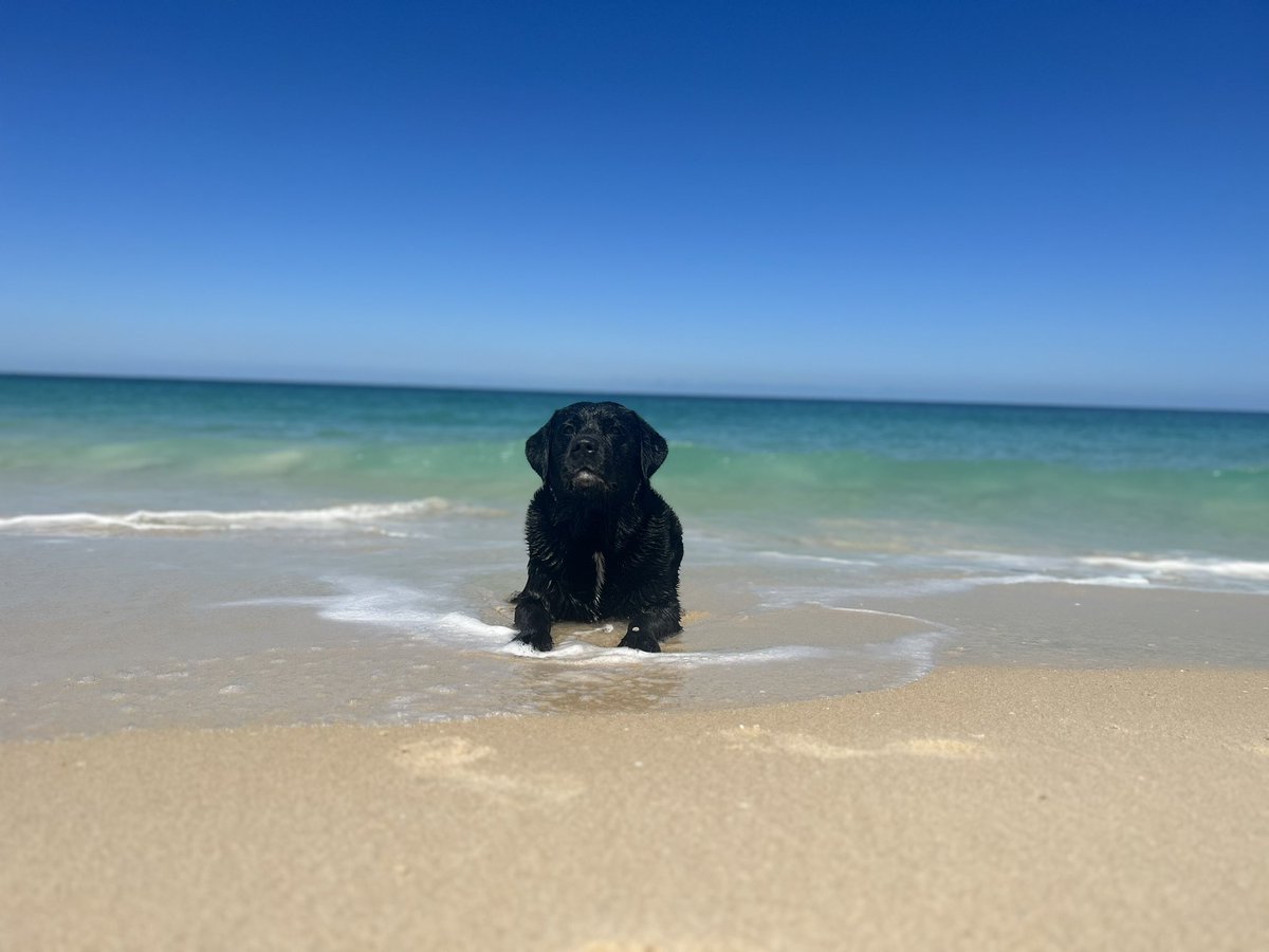 BeckyBratt's tweet photo. Happy New Year, what a year it has been! Having a baby and moving to the other side of the world! Let’s hope this year brings so much happiness and lots more adventures 💙 https://t.co/Ubl42zEM3d