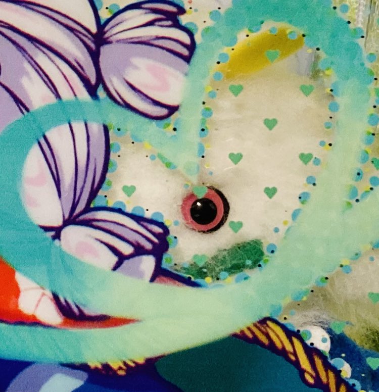 donguricorosuke's tweet image. クリアポーチは結構大きくて、FUちゃんとオーマちゃんが一緒に入るサイズ！
クリア素材だからめっちゃ外見てる！