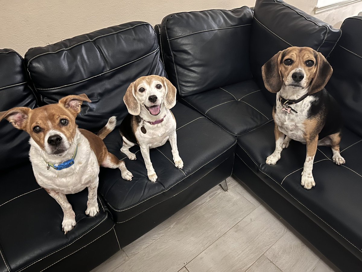 Happy New Years! Let’s make 2023 the year of peace, joy, kindness and of course as many shenanigans we can get away with! All our Love xoxo Mags, Bella, Bentley, little boy and Mama!